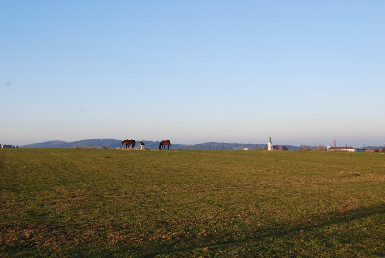 Gaestezimmer Glaser Gross-Siegharts Exterior foto